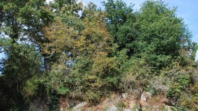 Sentier d'Interprétation de la Carrrière de la Pagerie