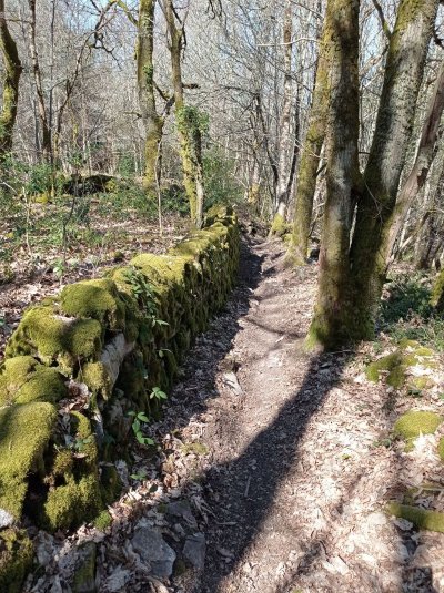 Circuit pédestre Autour de la voie romaine CC1