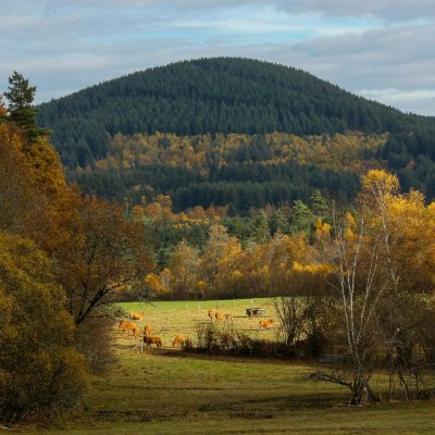 Les Hêtraies de Péret-Bel-Air