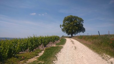 PR 39 Le Mont de Fourche