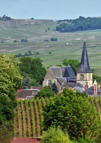 Balade à Rilly la Montagne