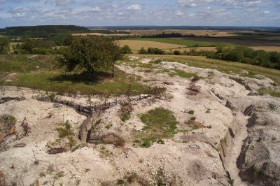 La bataille d'Argonne 14-18