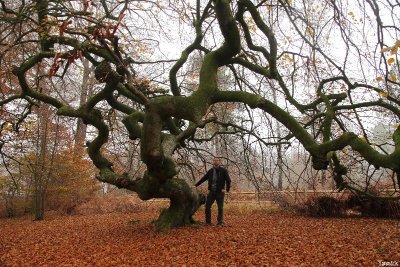 PR 9 Circuit du Fau de Valmy
