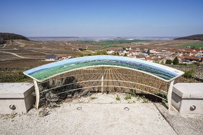 Circuit de découverte du vignoble