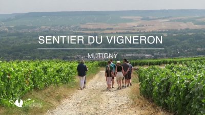 Le sentier du vigneron