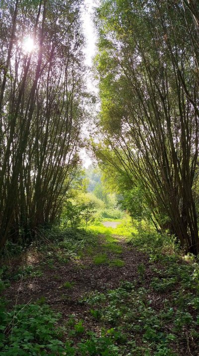 Balade des Trois Eaux à Recy