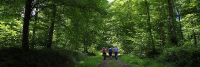 Les petits bois à VTT