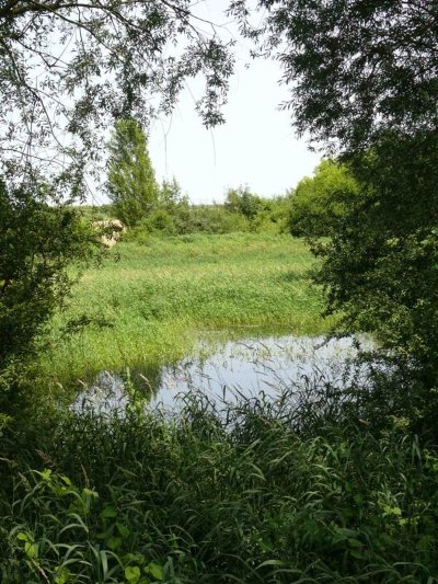 Les Effes et les Riaux