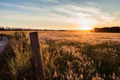 Les chemins du Mont-Saint-Michel - Chemin de Barfleur - Carentan - Périers