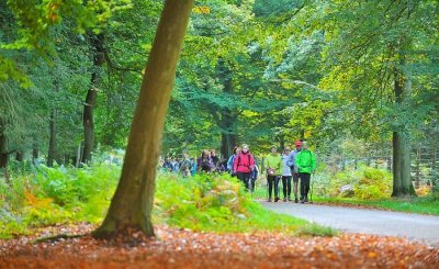 Le Grand Tour du Trait