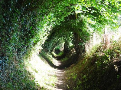 Les petits chemins de la Drôme