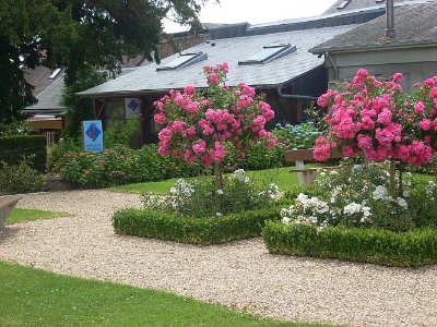 Les Grands Genêts à VTT