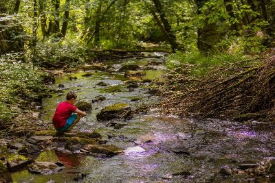 Le Papillon au fil de l'eau