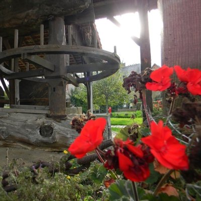 Les chemins creux - Randonnée