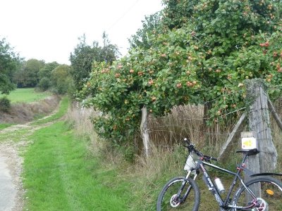 La Vallée de la Sélune