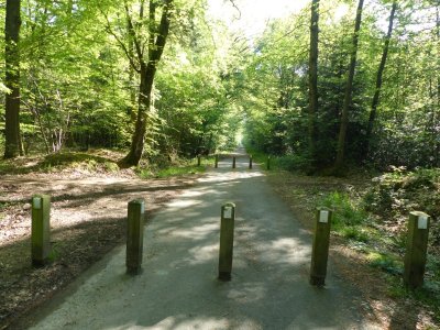 Voie Verte des Bois Francs