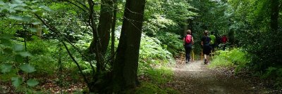 Circuit le Petit Essart