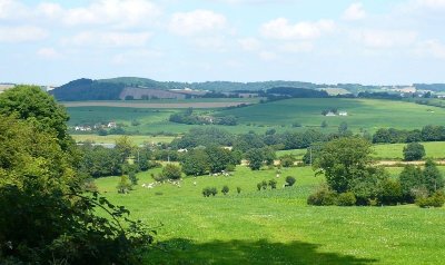 Vers les Bois de Neuville-Ferrières