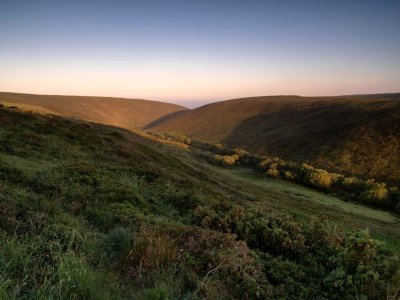 Les landes de Vauville