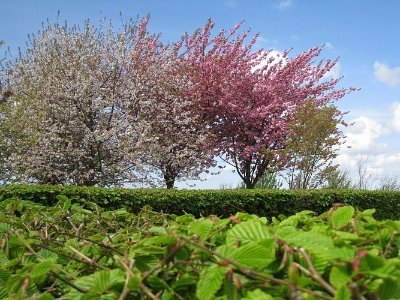 Les Chemins des Textiles