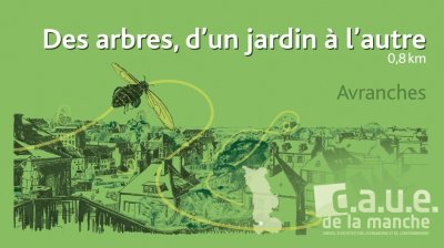 Promenade du CAUE "des arbres, d'un jardin à l'autre"