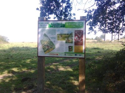 Les Communaux de Rosnay