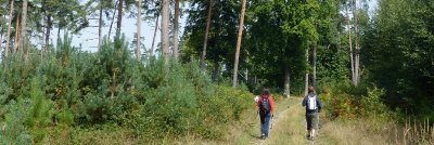 Circuit La Coudrette