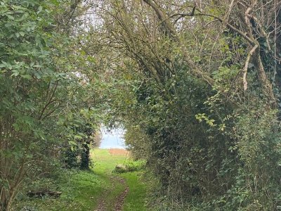 Entre dune et marais, balade pédestre entre Courseulles et Graye