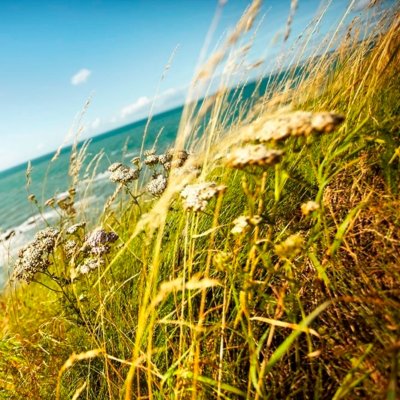 La Route des Chiffonniers - Étape 1 - St-Pair-Sur-Mer - La Lucerne d'Outremer