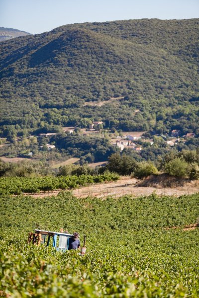 OENORANDO® LA VALLÉE DES ARÔMES