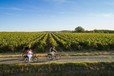 BOUCLE CYCLO N°15 - BALADE SUR LA ROUTE DES VIGNOBLES BITERROIS