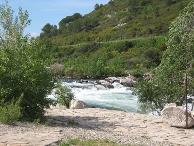 RANDONNÉE DU BOIS DES EUCALYPTUS