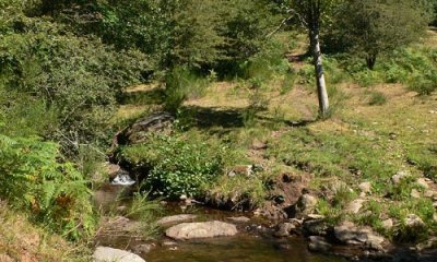 RANDONNEE DE LA HAUTE VALLEE DE L'AGOUT