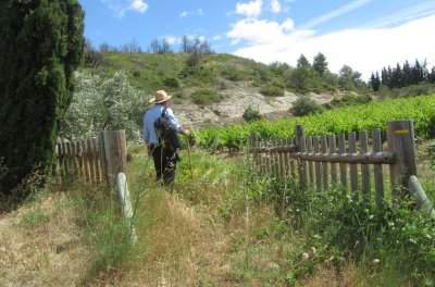 OENORANDO® DES MOURELS