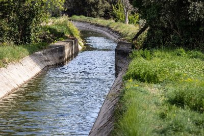 OENORANDO® DU CANAL DES VIGNES