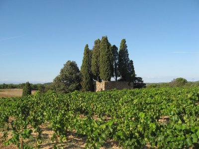 RANDONNÉE LA CROIX DE JUILLET