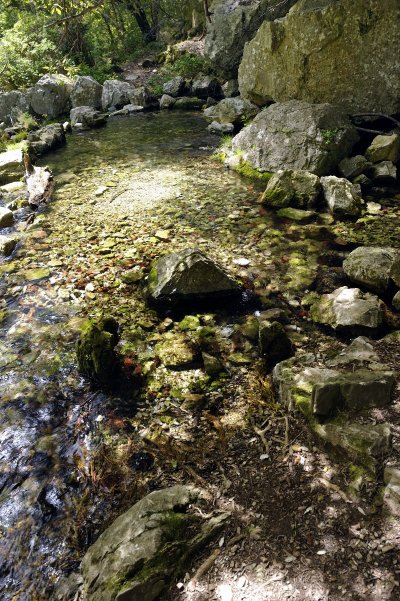 RANDONNÉE AUTOUR DE LA SOURCE DE MALIBERT