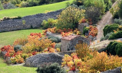 OENORANDO® LES TERRASSES DE PÉGAIROLLES