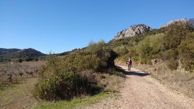 OENORANDO® DES DRAILLES DES CROZES