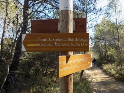 RANDONNEE DU BOIS DE LÈQUE