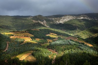 RANDONNÉE FÉLINES MINERVOIS VENTAJOU