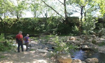 OENORANDO® LA THONGUE ET SES COTEAUX