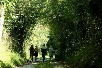 Le Sentier du Bocage à Méautis