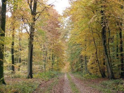 La Reine Mère à VTT