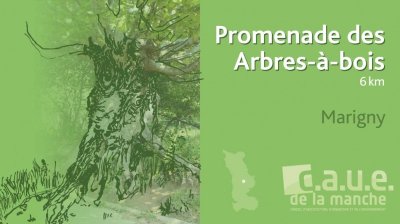 Promenade du CAUE "des Arbres-à-bois"