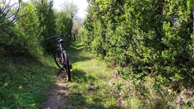Circuit VTT De La Baraque Froide à La Blaquèrerie