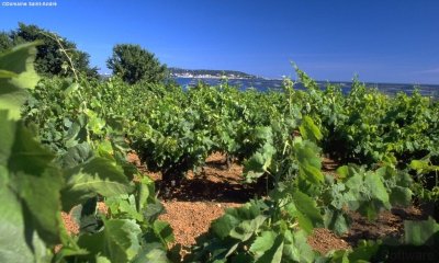CIRCUIT GRAVEL 19 : DE LA CAVE AU MOULIN – ESPACE VTT/GRAVEL CAP D’AGDE MÉDITERRANÉE