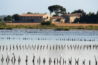 RANDONNEE DES SALINES