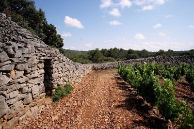 RANDONNÉE LE CHEMIN DES 1001 PIERRES