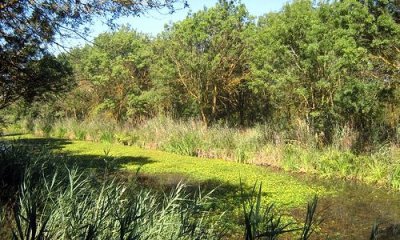 RANDONNEE DU CLOT DE VIAS